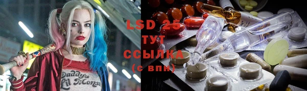 спиды Горняк