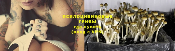 соль курить ск Горнозаводск