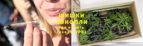 спиды Горняк