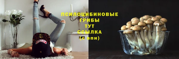 соль курить ск Горнозаводск