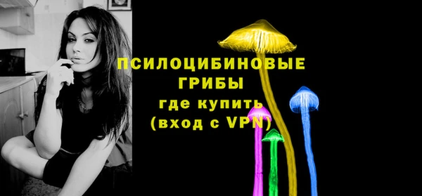 гидропоника Горно-Алтайск