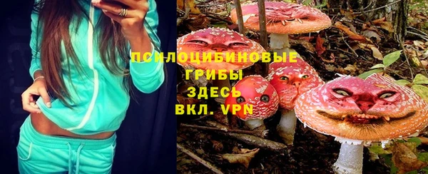 соль курить ск Горнозаводск