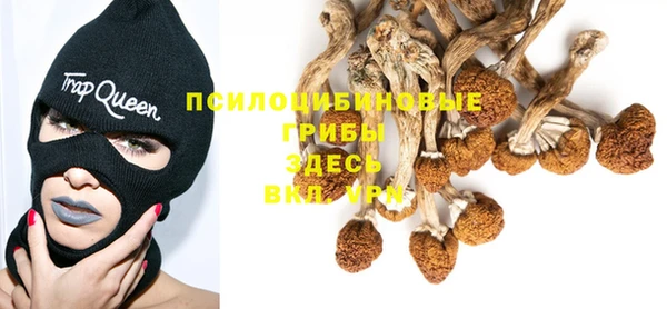 спиды Горняк
