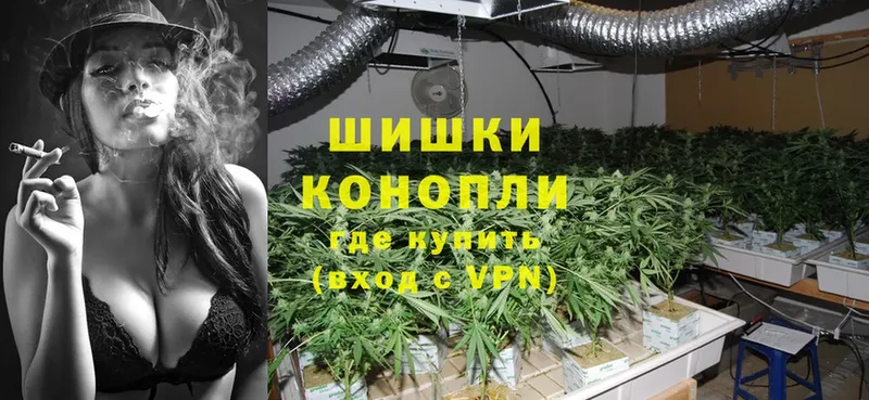 это клад  Жирновск  Бошки Шишки OG Kush 